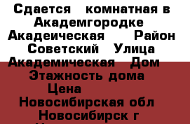 Сдается 2-комнатная в Академгородке, Акадеическая 38 › Район ­ Советский › Улица ­ Академическая › Дом ­ 38 › Этажность дома ­ 4 › Цена ­ 23 000 - Новосибирская обл., Новосибирск г. Недвижимость » Квартиры аренда   . Новосибирская обл.,Новосибирск г.